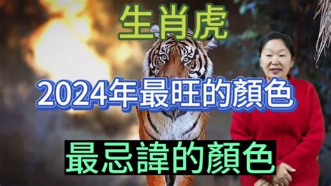 屬 虎 禁忌顏色|【屬虎幸運色】2024年屬虎人專屬！掌握幸運色與禁忌色，招財。